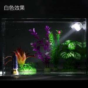 金龍魚夜燈的角度擺放：金龍魚夜燈擺放位置和角度對于防止龍魚掉眼以及促進其健康生長