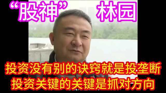 林園投資的投資策略是什么 林園投資的投資策略是什么 龍魚百科 第5張