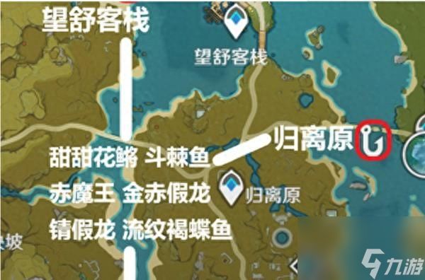 假龍魚用什么魚餌（《原神》釣取假龍魚的最佳選擇）
