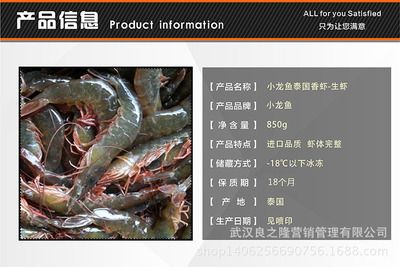 小龍魚的樣子描述句子：關(guān)于小龍魚的描述句子