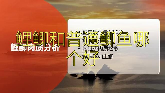 鯉鯽就是工程鯽嗎