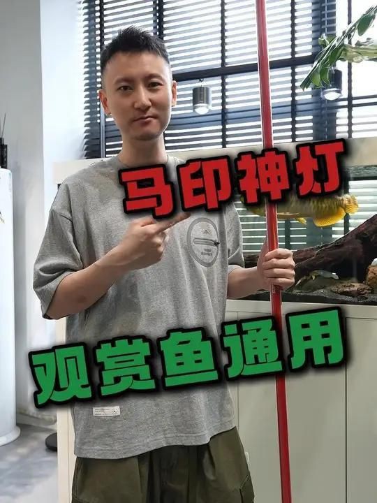 馬印燈有什么作用和功能