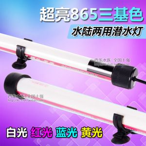 龍魚專用燈價格多少錢一個（龍魚專用燈價格）