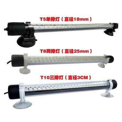 龍魚專用燈價格多少錢一個（龍魚專用燈價格）