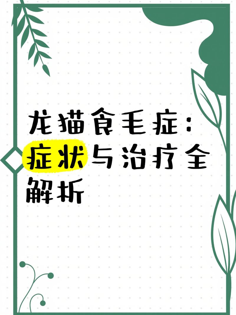 龍貓先天性疾病可以治愈嗎？