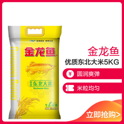 龍魚干蝦有營養嗎 觀賞魚金龍魚多少錢一條(觀賞魚金龍魚多少錢一條圖片) 龍魚百科 觀賞魚金龍魚多少錢一條(觀賞魚金龍魚多少錢一條圖片) 觀賞魚金龍魚多少錢一條(觀賞魚金龍魚多少錢一條圖片) 龍魚百科