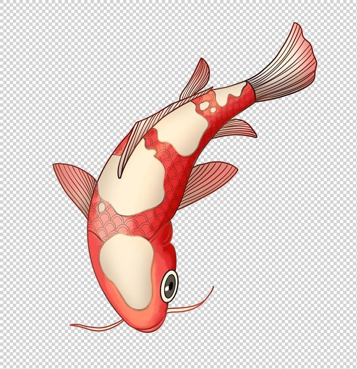 如何判斷觀賞魚眼睛白膜的嚴重程度？