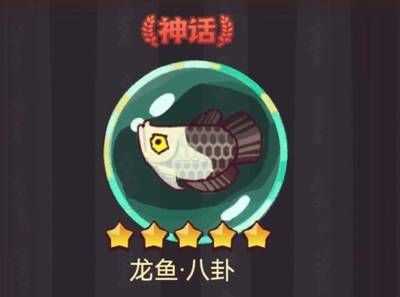 龍魚翻腮手術后能長好嗎？：七彩神仙魚與龍魚混養注意事項)七彩神仙魚與龍魚混養注意事項