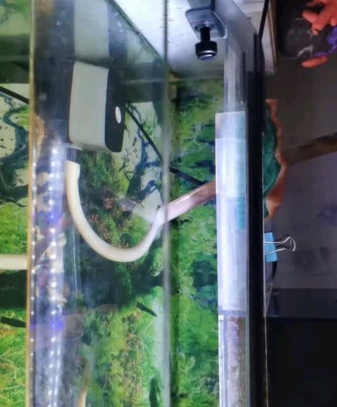 龍魚(yú)燈哪個(gè)品牌好？