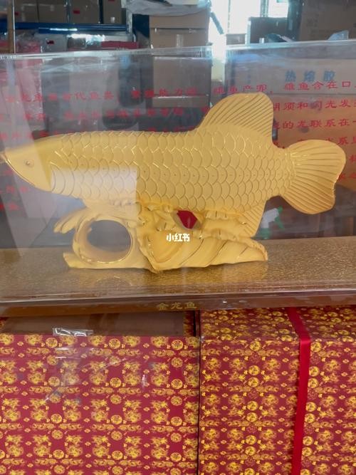 高清金龍魚圖片大全大圖手機壁紙動漫
