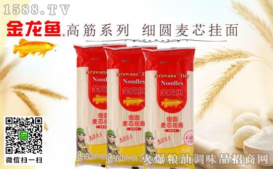 金龍魚的掛面怎么樣（金龍魚掛面怎么樣） 金龍魚的掛面怎么樣（金龍魚掛面怎么樣） 龍魚百科 第3張