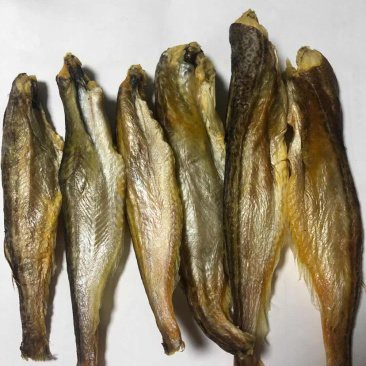 成都哪里有賣龍魚的店子