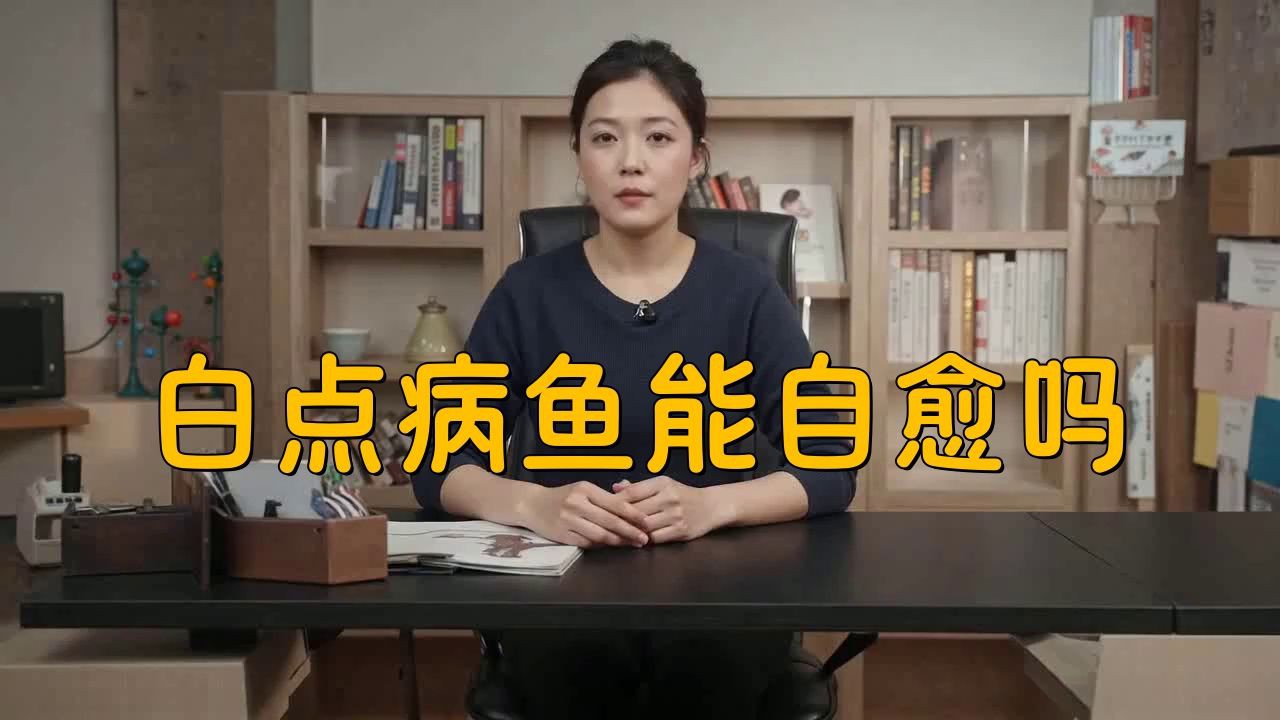 孔雀魚身上發(fā)白腐爛會(huì)自愈嗎？ 孔雀魚身上發(fā)白腐爛會(huì)自愈嗎？ 龍魚百科 第4張