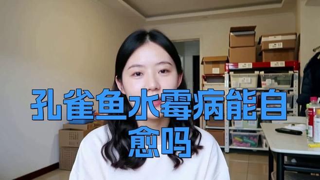 孔雀魚身上發(fā)白腐爛會(huì)自愈嗎？ 孔雀魚身上發(fā)白腐爛會(huì)自愈嗎？ 龍魚百科 第2張