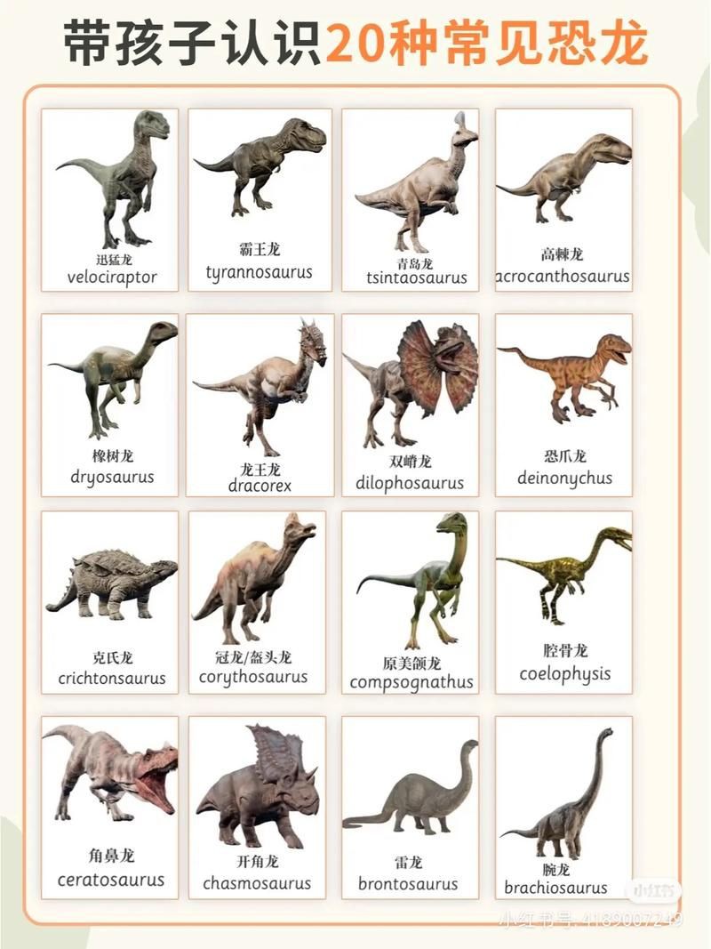 恐龍種類大全圖片
