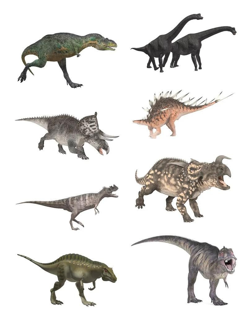 恐龍種類大全圖片