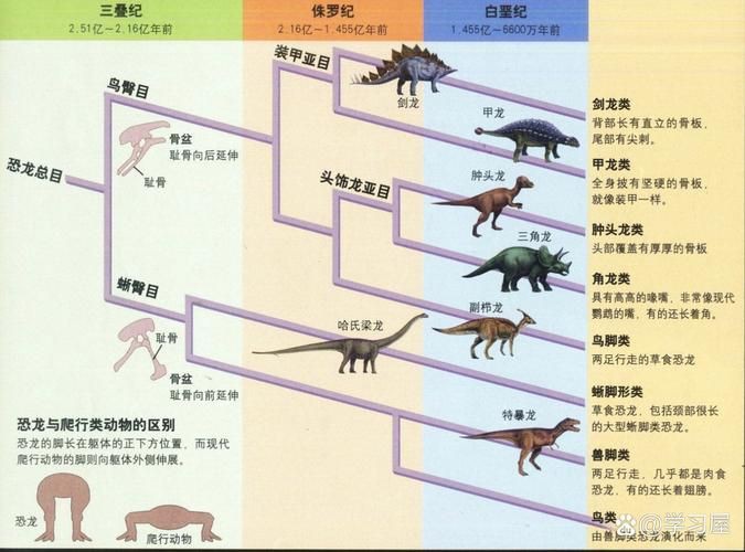 恐龍種類大全圖片