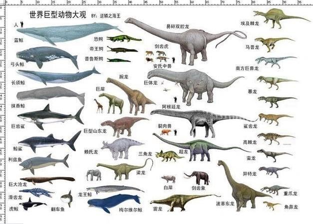 恐龍種類大全圖片