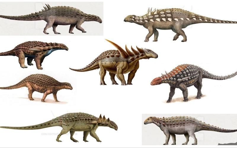 恐龍種類大全圖片