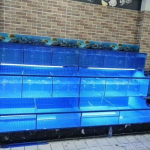 金龍魚的飼養(yǎng)方法，飼養(yǎng)金龍魚的注意事項：金龍魚怎么養(yǎng)360doc個人圖書館金龍魚飼養(yǎng)技巧