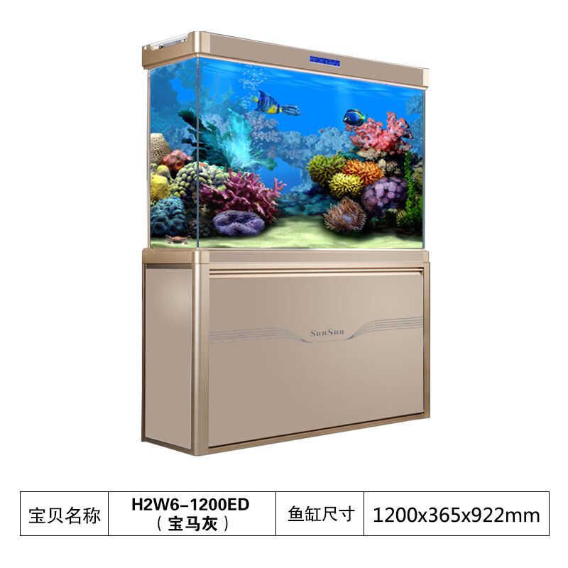 養(yǎng)龍魚的魚缸尺寸選擇是一個重要的問題