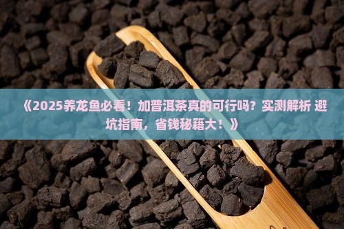 普洱茶養龍魚好嗎知乎推薦