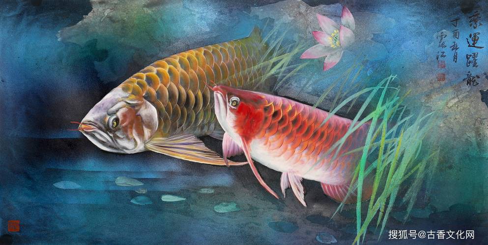 寫意國畫金龍魚圖片高清