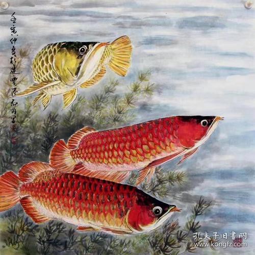 寫意國畫金龍魚圖片高清