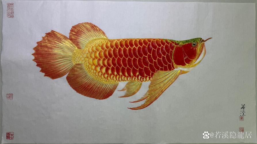 寫意國畫金龍魚圖片高清