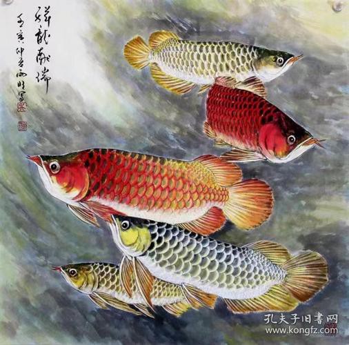 寫意國畫金龍魚圖片高清
