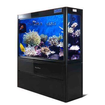 龍魚(yú)缸排行榜前十名品牌圖片:2024年龍魚(yú)缸排行榜前十名品牌 龍魚(yú)百科 第1張 龍魚(yú)缸排行榜前十名品牌圖片:2024年龍魚(yú)缸排行榜前十名品牌 龍魚(yú)缸排行榜前十名品牌圖片:2024年龍魚(yú)缸排行榜前十名品牌 龍魚(yú)百科 第1張