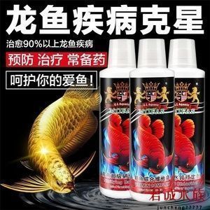 甲硝銼治療龍魚內寄：如何治療龍魚內寄