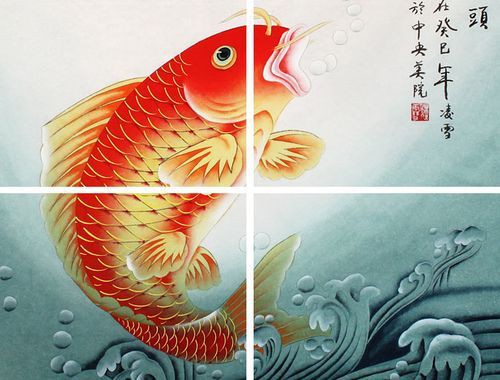 風(fēng)水魚圖片 風(fēng)水魚圖片 龍魚百科 第24張
