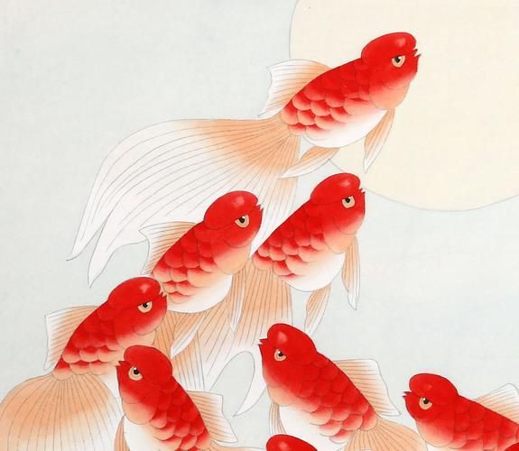 風(fēng)水魚圖片 風(fēng)水魚圖片 龍魚百科 第20張