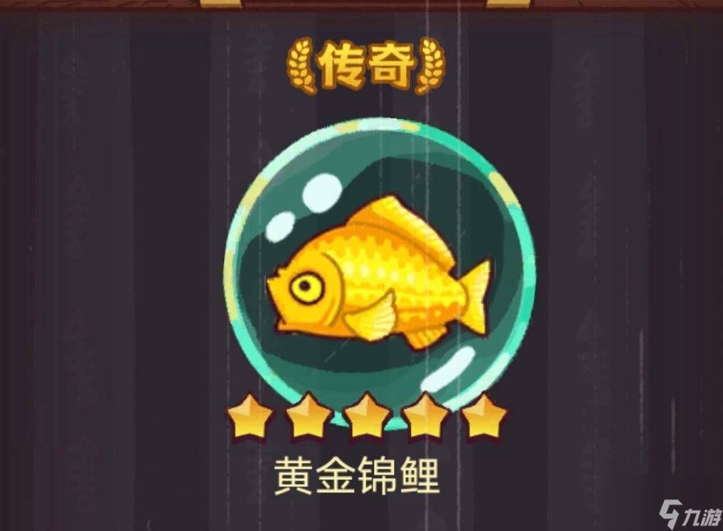 龍魚哪里買，線上購買龍魚可以通過多種途徑進行以下幾種途徑進行