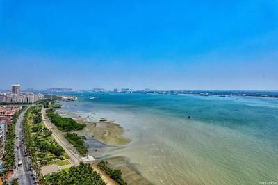 龍魚市場價格行情走勢 龍魚市場價格行情走勢 龍魚百科 第2張