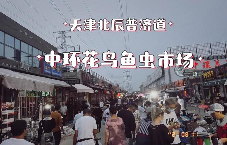 天津龍魚批發(fā)市場周三晚上幾點(diǎn)關(guān)門啊圖片 天津龍魚批發(fā)市場周三晚上幾點(diǎn)關(guān)門啊圖片 龍魚百科 第4張