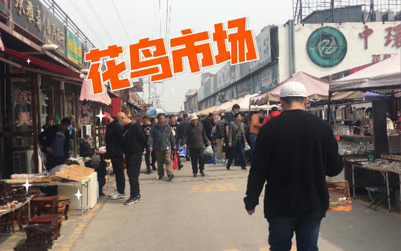 天津龍魚批發(fā)市場周三晚上幾點(diǎn)關(guān)門啊圖片 天津龍魚批發(fā)市場周三晚上幾點(diǎn)關(guān)門啊圖片 龍魚百科 第11張