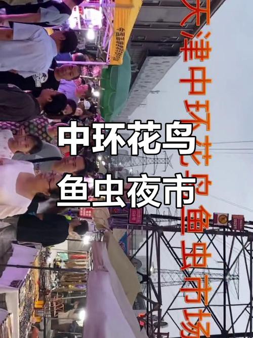 天津龍魚批發(fā)市場周三晚上幾點(diǎn)關(guān)門啊圖片 天津龍魚批發(fā)市場周三晚上幾點(diǎn)關(guān)門啊圖片 龍魚百科 第19張