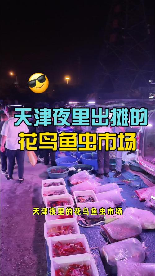 天津龍魚批發(fā)市場周三晚上幾點(diǎn)關(guān)門啊圖片 天津龍魚批發(fā)市場周三晚上幾點(diǎn)關(guān)門啊圖片 龍魚百科 第9張