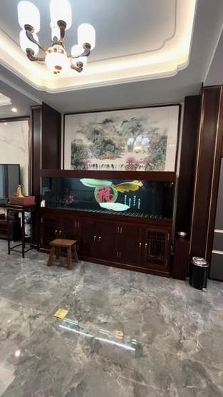 銀龍魚的飼養(yǎng)方法圖解