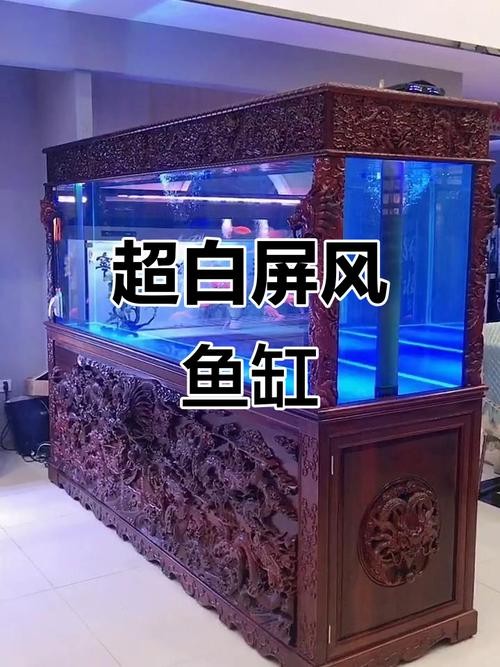 銀龍魚的飼養(yǎng)方法圖解