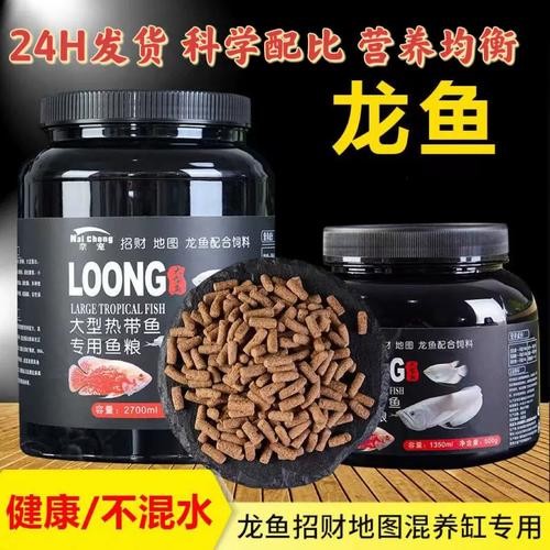 銀龍魚的飼養(yǎng)方法圖解