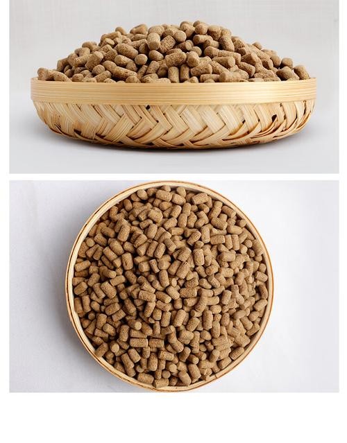 銀龍魚的飼養(yǎng)方法圖解