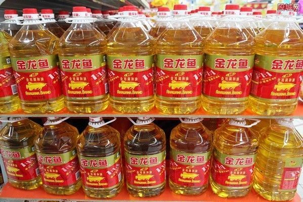 魚缸過濾器選購指南:自制魚缸過濾器魚缸上置過濾器對于養魚愛好者的必備知識 金龍魚上漲邏輯圖:金龍魚上漲的主要邏輯 龍魚百科 金龍魚上漲邏輯圖:金龍魚上漲的主要邏輯 金龍魚上漲邏輯圖:金龍魚上漲的主要邏輯 龍魚百科