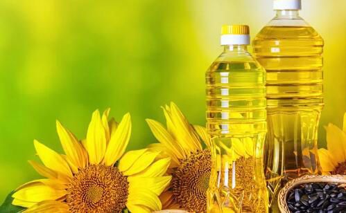 金龍魚總在魚缸底面游怎么治：如何診斷和治療金龍魚白點(diǎn)病 金龍魚總在魚缸底面游怎么治：如何診斷和治療金龍魚白點(diǎn)病 龍魚百科 第10張