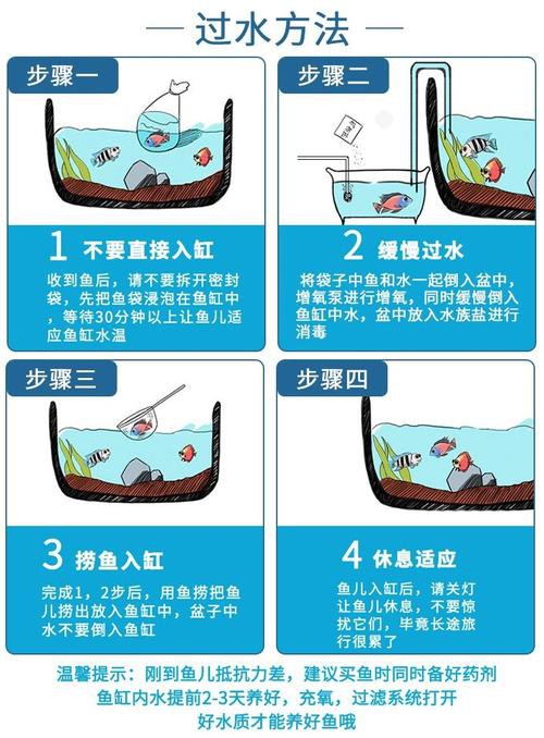 恐龍魚跳缸怎么救 恐龍魚跳缸怎么救 龍魚百科 第7張