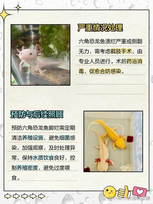 恐龍魚跳缸怎么救 恐龍魚跳缸怎么救 龍魚百科 第3張