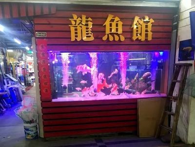 賣龍魚的店叫什么店名呢：賣龍魚的店名如何查詢 賣龍魚的店叫什么店名呢：賣龍魚的店名如何查詢 龍魚百科 第1張