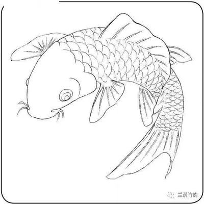 龍魚的畫怎樣畫的：龍魚畫法教程：不同的龍魚畫法教程，供您參考和學習